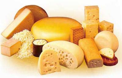 Le fromage est une source de calcium d'origine animale dérivé du lait